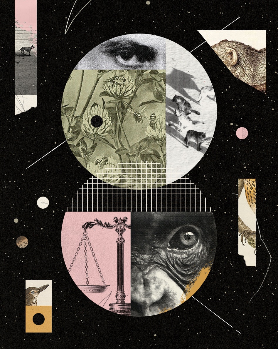 Blake Cale for Noema Magazine