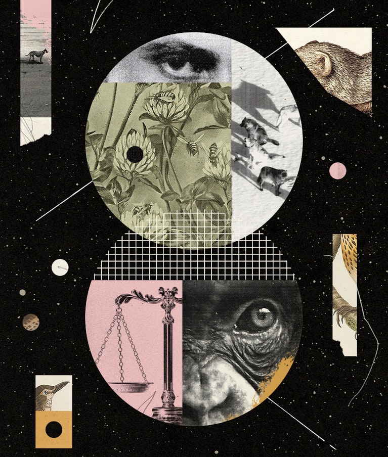 Blake Cale for Noema Magazine