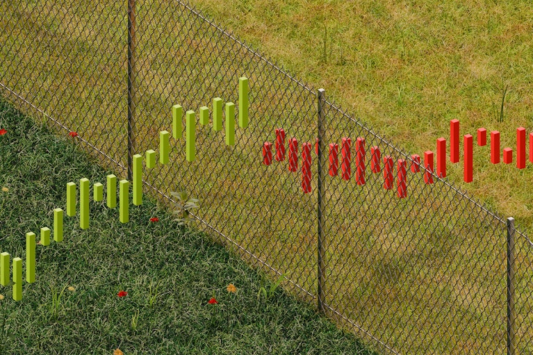 Illustration by Dhrutika Khimani for Noema Magazine.