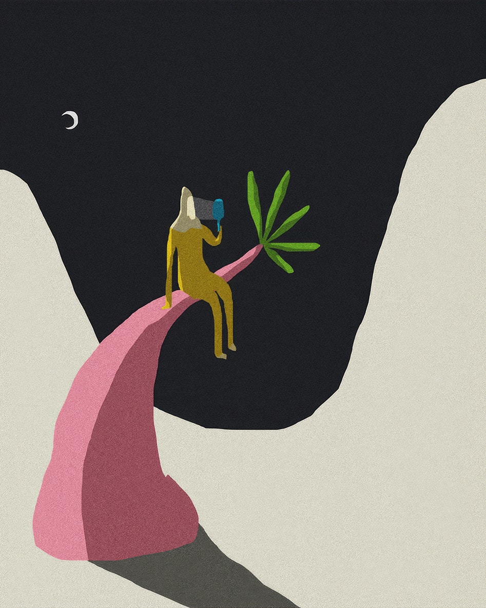 Illustration by Daniel Barreto.