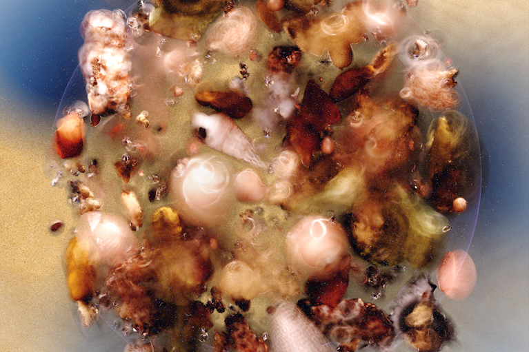 Illustration by Kristian Glenn for Noema Magazine.